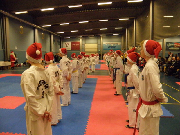 Perinteinen kisavuoden päätös Pikku Tiikeri Cup keräsi Ylöjärvelle sankat joukot taekwondojunnuja. Aitoosta mukana oli neljä kisaajaa. 