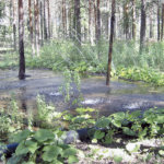 Valituksia käsitelleeltä hallinto-oikeudelta tuki Tavaselle – ”hankkeesta ei aiheudu Natura 2000 -alueiden heikkenemistä tai pohjaveden pilaantumista”