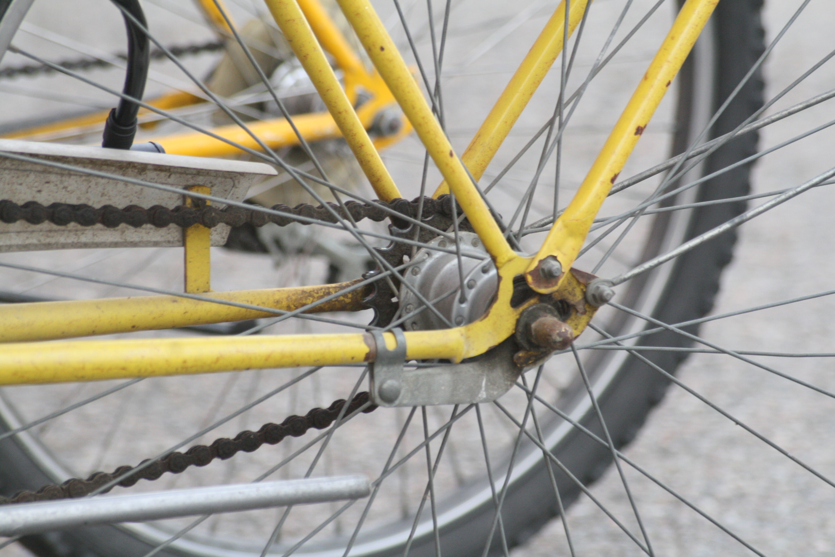 Kangasalan pyöräilykesän avaa uusi Längelmä-pyöräreitti ja Pyöräpiknik-tapahtuma