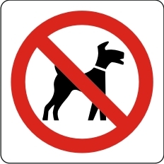 ei koiria
