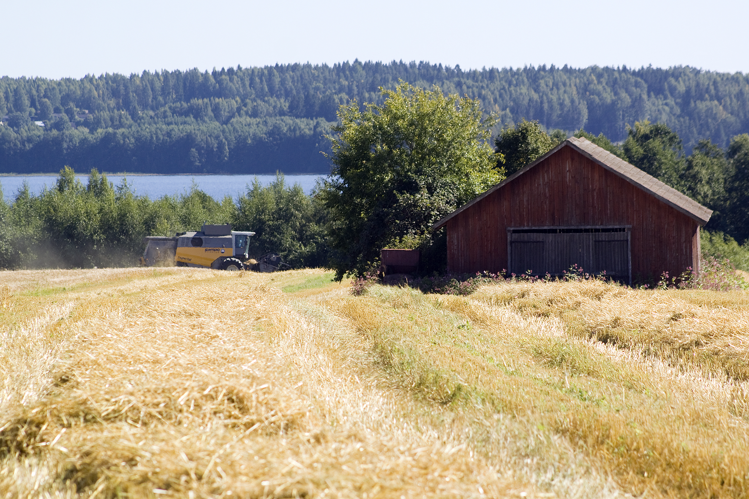 Sydän-Häme on maakunnan ruoka-aitta - Sydän-Hämeen Lehti