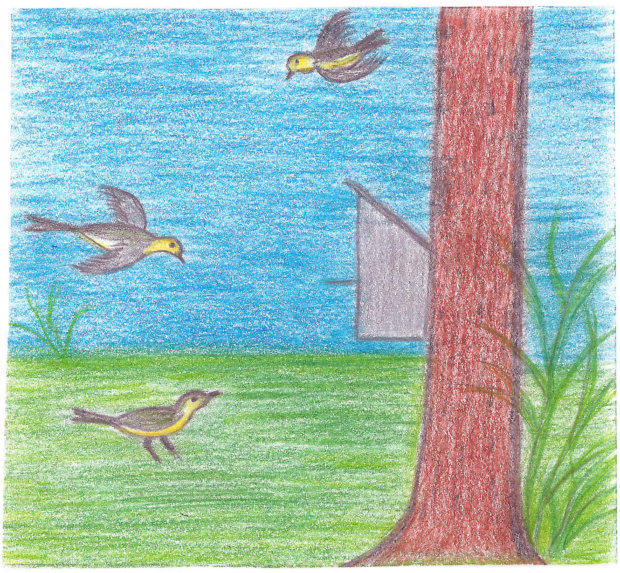 Eila Seppi piirsi pönttötalkoiden innoittamana keväisen lintukuvan. 