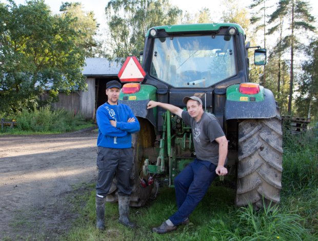 Veljekset Asko (vasemmalla) ja Veikko Ahola ovat pyörittäneet yhteistä maatalousyhtymää koko työikänsä. Tuotantosuuntana on sonnien kasvatus.