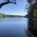 Pitkäjärven luonnonsuojelualuetta voidaan tutkia laajemmin
