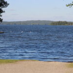Sinilevähavainnot lisääntyivät – Kangasalta havaintoja kahdelta järveltä, Pälkäneeltä ei saatu tietoja lainkaan