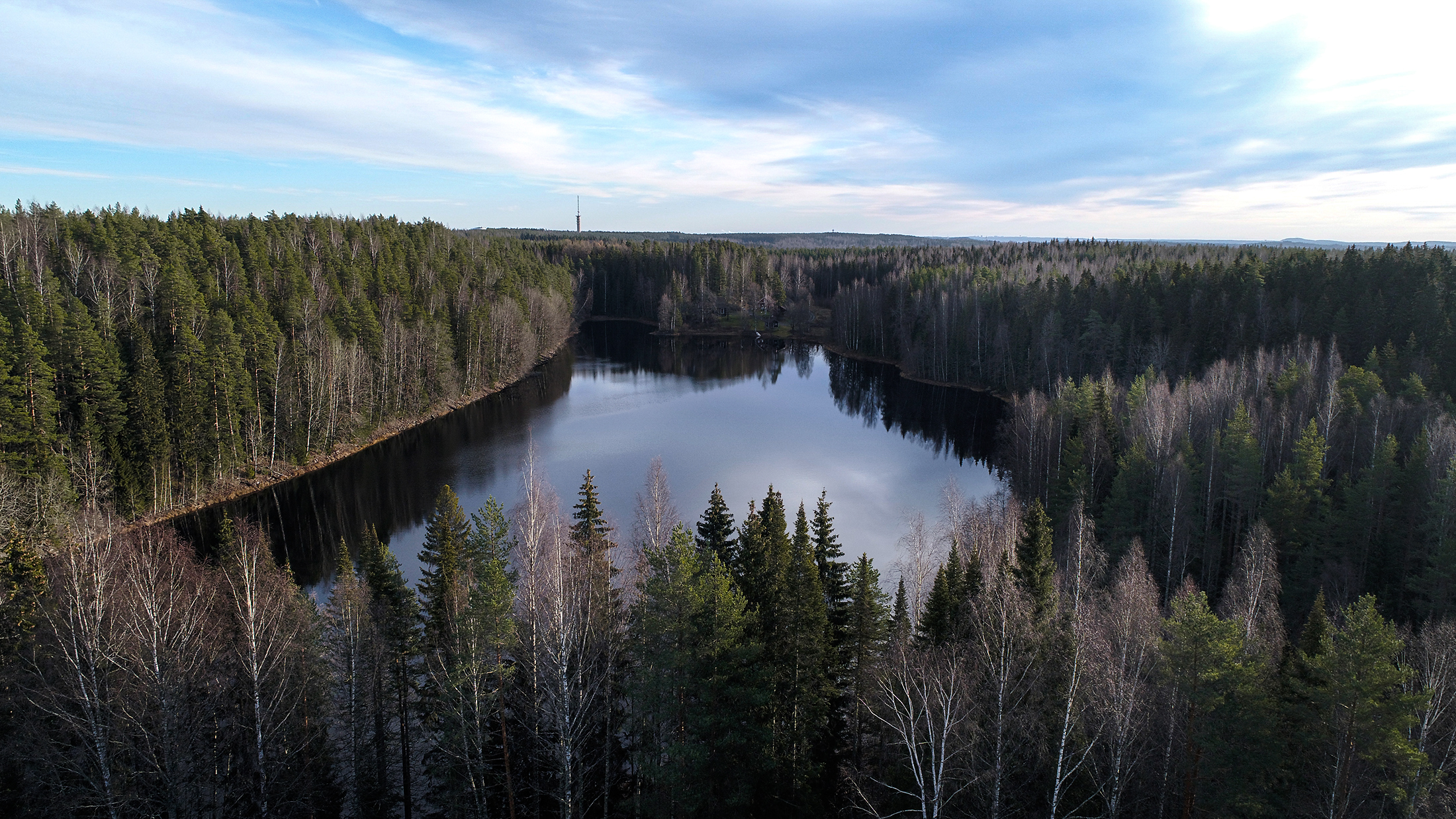 Metsänomistaja: Näillä toimilla pidät hiilinielusi elinvoimaisena: ”Hyvin hoidettu metsä on sijoitus tulevaisuuteen”