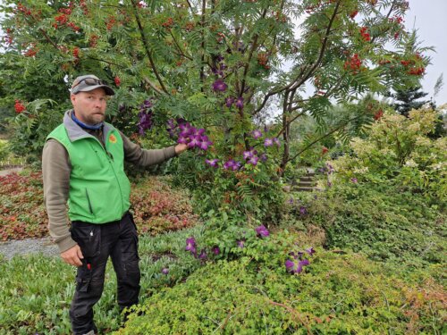 Pinsiön Taimiston Sami Pihkoluomalla on pitkä kokemus taimistoviljelystä. Hän pyörittää yhtä maamme suurimmista taimistoista. – Elämme nyt parasta istutusaikaa, Pihkoluoma muistuttaa. (Kuva: Matti Pulkkinen)