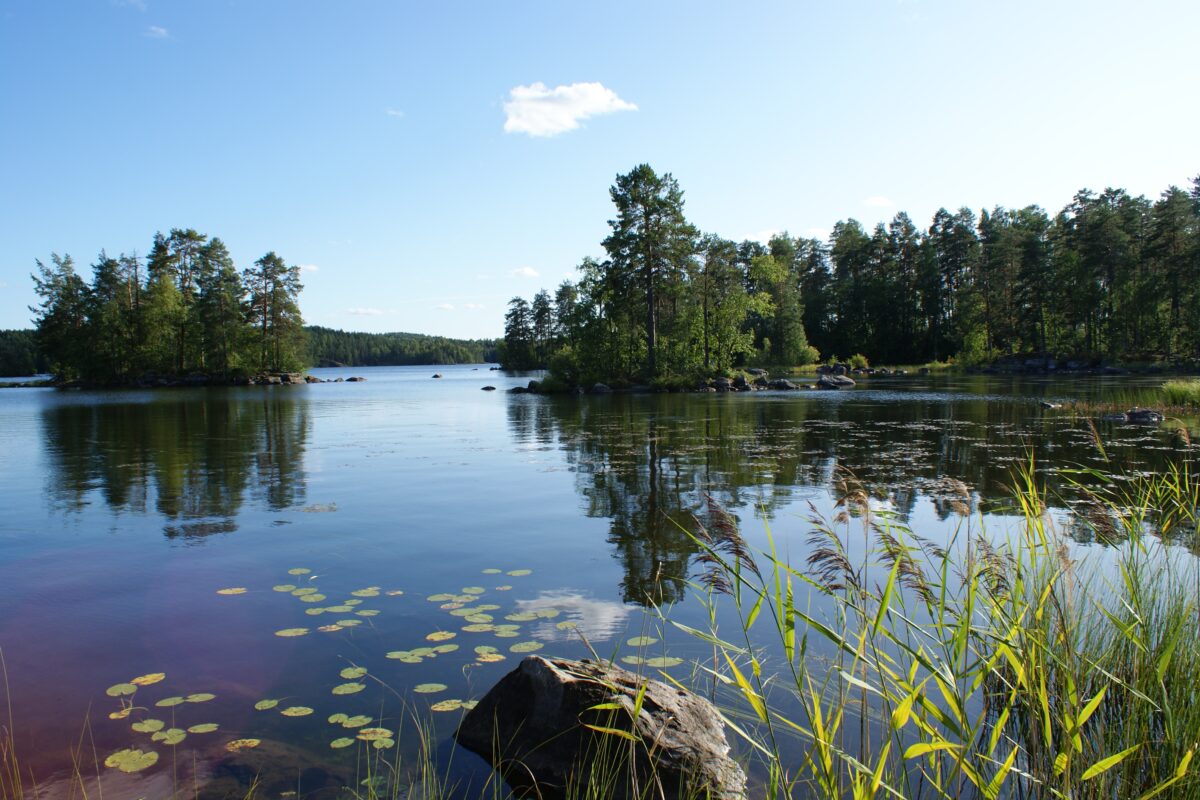 Haltian pappilan pelto-ojaa kunnostetaan