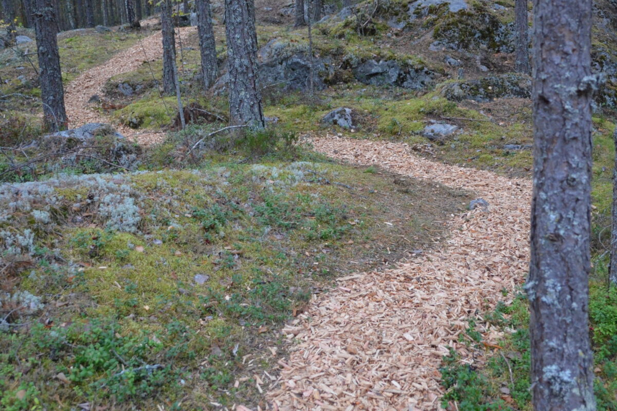 Yhteinen Luontoliikuntapäivä kutsuu kaikenikäisiä ulos luontoon ja liikkumaan