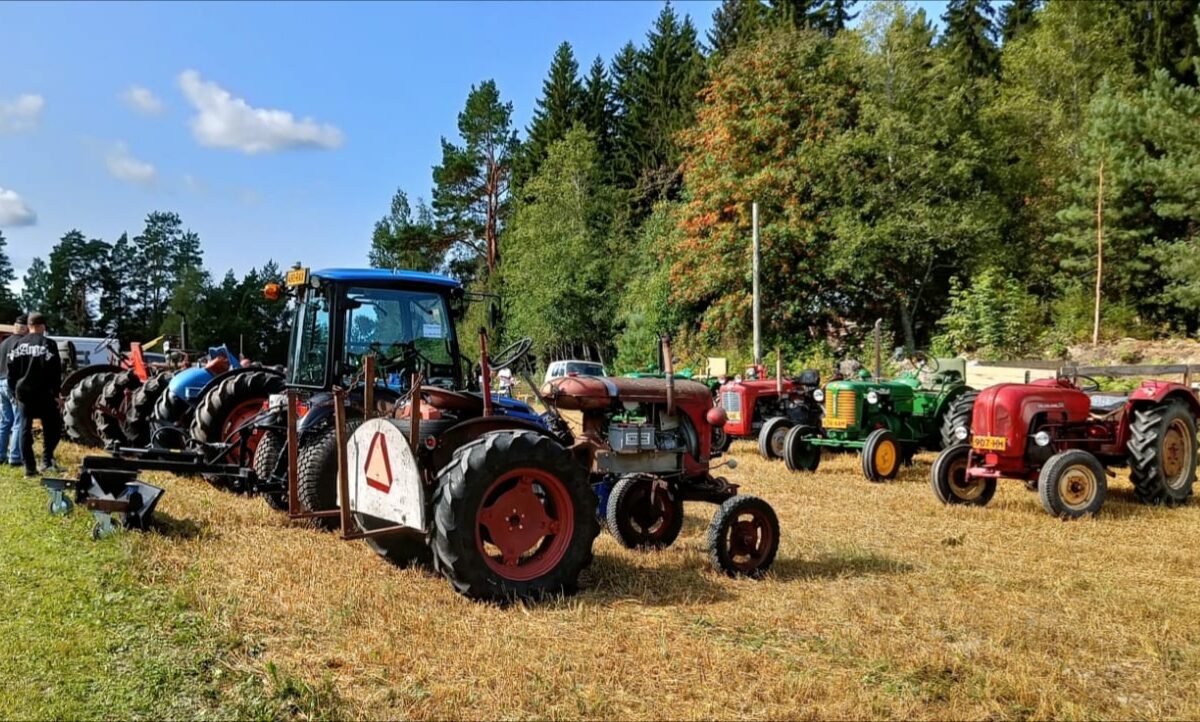 Museopäivä houkutteli 300 kävijää Tapsan museoille Haltialla